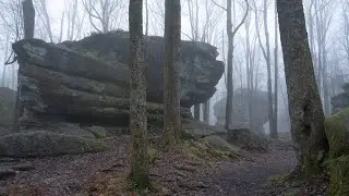 I Finally Experienced Fog at Thunder Rocks! | WNY Landscape Photography