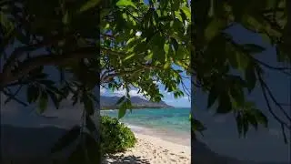 #beach #waves #ocean #sora #loop #ai