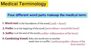 Medical terminology | Prefix, Suffix And root words with Examples