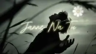 Janne na tu 😍🥰🥰❤️👗🥰😍❤️fast song 