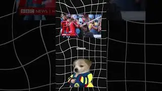 LA MASAC*** DEL ESTADIO CORREGIDORA #futbol  #ligamx  #casosreales  #estadiocorregidora
