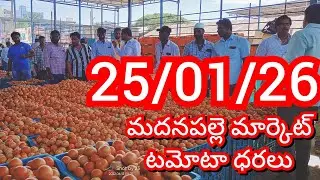 25-01-26 Madanapalle Tomato Market price Today || Today Tomato Market Rate in Madanapalle #today