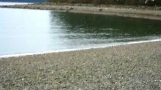 Husky Beach Landing