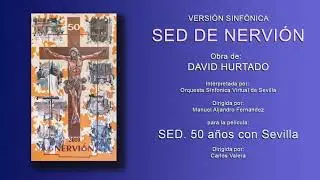 SED DE NERVION