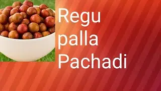 Regu palla  Pachadi Thinedhama🤪 