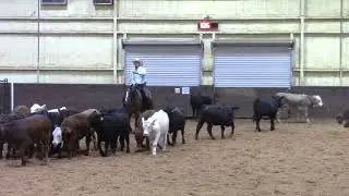 9-28-25  Am SW CHA - Lorena, TX - Enrique Cuellar -METALLIC CINCIN - Never Won A Buckle - 70