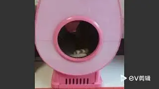smart automatic cat litter box, Multifunction