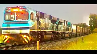 CBH005 & 011 inbound Grain train: Narrow Gauge CGKY action!