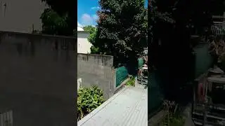 Lis la R&eacute;union