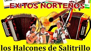 Los Halcones De Salitrillo 12 Canciones Viejitas Con Sus Exitos Originales