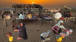 Nomadic Life in Cholistan | making breakfast | village life in Pakistan 🇵🇰