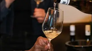Discover 8 German Wines Beyond Riesling