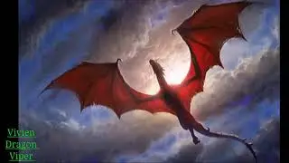 [Peaceful dragons]MV(Cartoon On On feat Daniel Levi NCS Release)