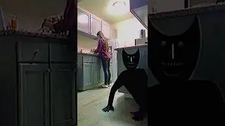 That&rsquo;s not my cat #weirdcore #horrorshorts #skinwalker #uncanny #analoghorror #creepycore