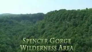Fifty Years of Conservation