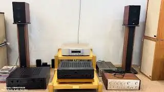 Loa bookshelf châu Âu chắc không lạ gì ELAC BS-243 Limited Edition – phiên bản đặc biệt đến từ Đức