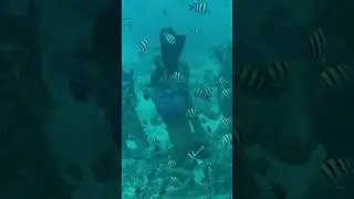 Emang boleh berenang bareng ikan🗿 #gilitrawangan #giliair #gilimeno