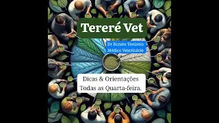 Terer&eacute; Vet: Dicas e Orienta&ccedil;&otilde;es. Ep.02 [Contribuindo com a Comunidade]
