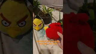 Zack D. Films The King LIED!