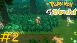 Pok&eacute;mon Let's Go Pikachu / Evoli Let's Play FR #2 La For&ecirc;t de Jade !