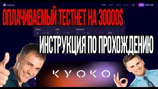 ОПЛАЧИВАЕМЫЙ ТЕСТНЕТ KYOKO FINANCE CCAL НА 30000$/ ЗАРАБОТОК НА ТЕСТНЕТАХ БЕЗ ВЛОЖЕНИЙ