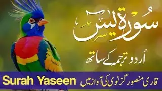 Surah Yaseen With Urdu Translation By Qari Mansoor Ghaznawi I Urdu And Hindi Tarjuma Episode 125
