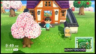 Nook Land On Animal Crossing New Horizons Hour And Social Time On April 8th, 2025.