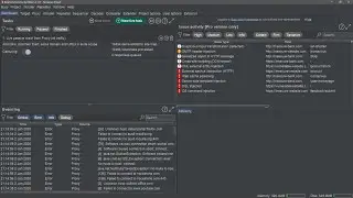 Improper input validation Bug bounty report