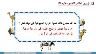 درس الانشطة الاقتصادية في دولة قطر 2 لمادة الدارسات الاجتماعية الصف الرابع الفصل الثاني