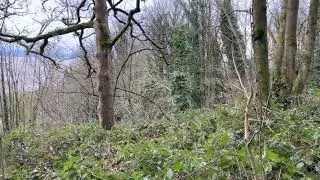 Walks in the Grange Area - Kents Bank Holiday Cottage
