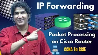 What is IP Forwarding? | Step-By-Step Packet Processing on Cisco Router with Example #cisco #router