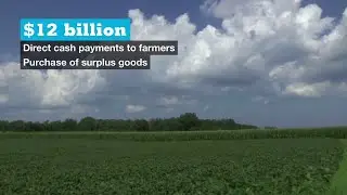 US to pay billions in aid to farmers hit by Trump trade war