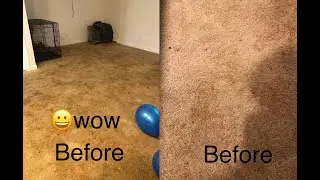 Low Moisture Carpet Cleaning, Edmonds Wa, S.E.T.T., Soil Extraction Transfer Technology