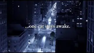 When the City Sleeps&hellip; 🌙| Nibbles the Night Cat