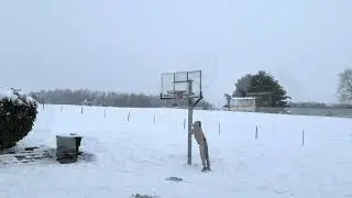 SNOW HOOPING
