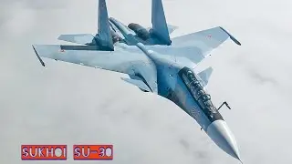 The King of Dogfight