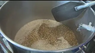 Brewery preparing special blueberry oatmeal beer for breast cancer fundraiser