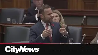Ontario Labour Minister Piccini faces calls to resign over skills-fund scandal