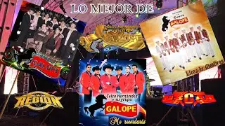 Lo Mejor De Celso Hernández Y Su Grupo Galope 2023