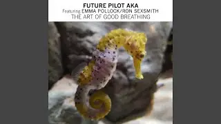 The Art Of Good Breathing