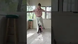 Who knew Mouse Toy was so good at ballet school?