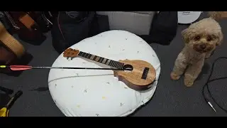 Dual pickup modification on my Koaloha Ukulele