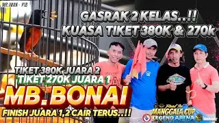 NYARIS DI BUAT KONCER MUTLAK OLEH MB BONAI🔹SUKSES SABET JUARA 1 FINISH JUARA 1,2🔹MR.IMAN P1B