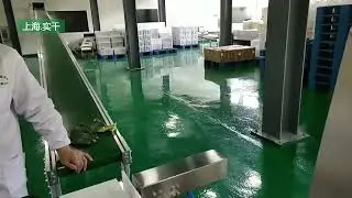 Checkweigher and Metal Detector Combo