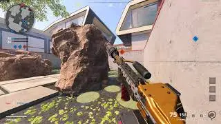 Black Ops Cold War Skin Tryout: Stoner 63 Queen's Guard Looking Baller