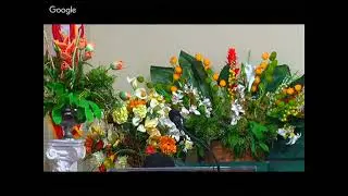 The Sin of Murmuring - Omega Truth Bible Study - Live Stream - 5.25.2019