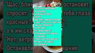 ветром надуло #shorts #рек #юмор #шутки #прикол #tiktok #анекдоты #а4 #рекомендации #тикток #funny