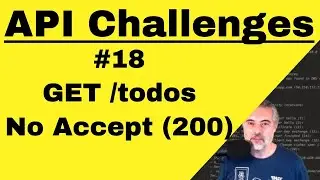 API Testing Challenge 18 - How To - GET todos No Accept Header 200