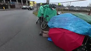 Прогулка по скрытым палаточным городкам Дункана &ndash; болото Соменос, река Ковичан и окрестности (дек...