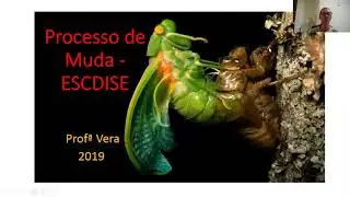 15 AULA - Metamorfose: tipos de metamorfose, Processo de Muda (ecdise)